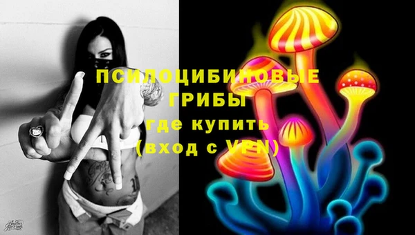 не бодяженный Гусиноозёрск