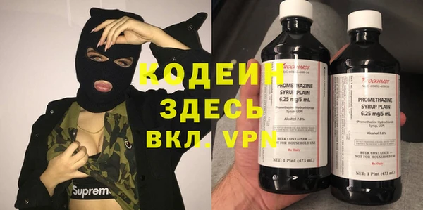 хмурый Гусь-Хрустальный