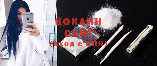 хмурый Гусь-Хрустальный