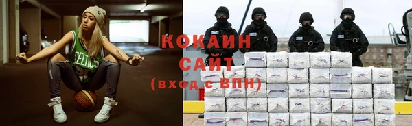 хмурый Гусь-Хрустальный