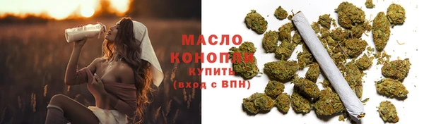 хмурый Гусь-Хрустальный