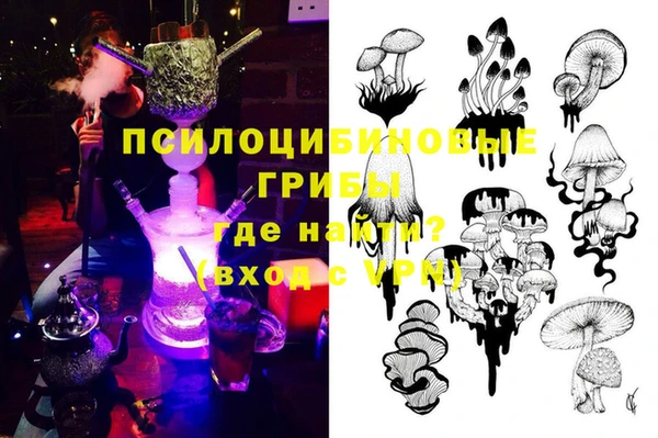 бутират Гусев