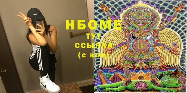 хмурый Гусь-Хрустальный