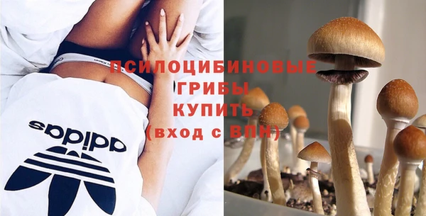 хмурый Гусь-Хрустальный
