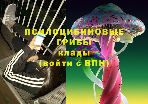 не бодяженный Гусиноозёрск