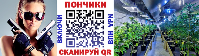 МАРИХУАНА планчик  как найти закладки  Изобильный 